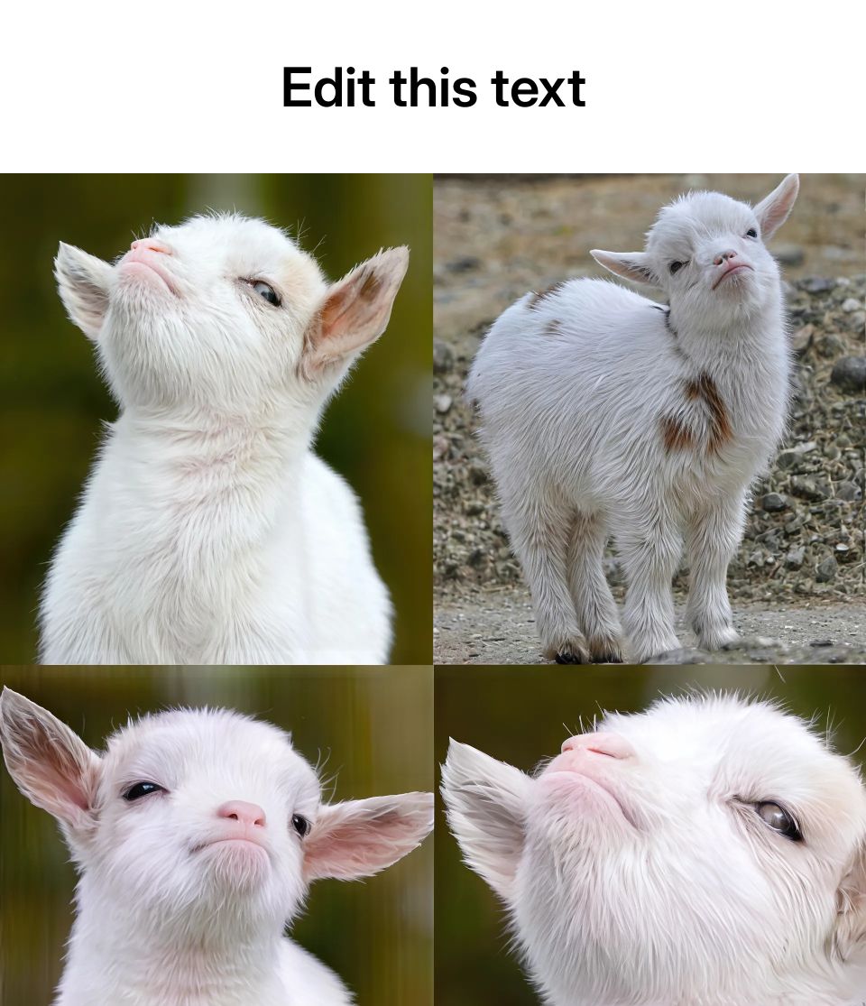Four images of a baby goat with a smug expression.