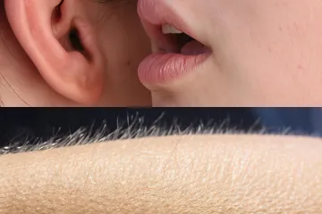 Close-up of a person whispering into an ear and a forearm with goosebumps.