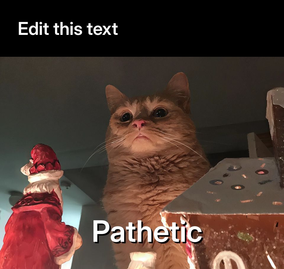 A ginger cat with a serious expression looking down, surrounded by Christmas decorations.