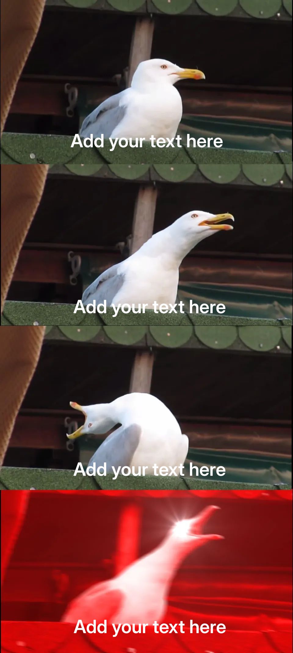 Seagull inhaling and screaming in four-panel sequence