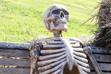 A skeleton sitting on a wooden bench in a grassy area, appearing to wait patiently.