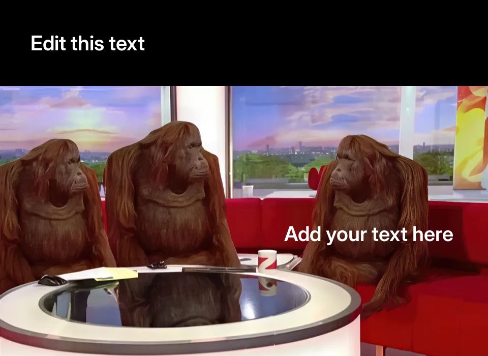 Three orangutans sitting on a red sofa in a TV studio setting.