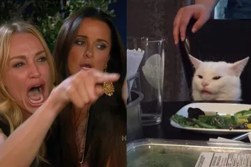 A woman yelling and pointing, next to a confused white cat at a dinner table.