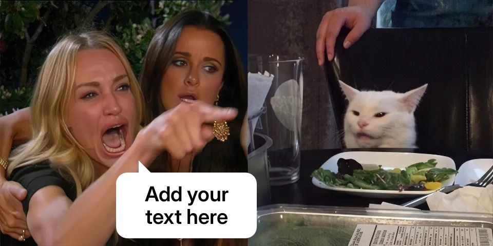 A woman yelling and pointing, next to a confused white cat at a dinner table.